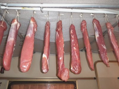 20241031_193550.jpg 20241031_193550.jpg