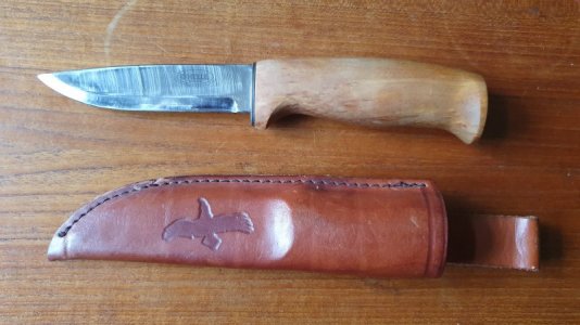 20241106_093216.jpg 20241106_093216.jpg