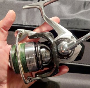 1730999250343.jpeg 1730999250343.jpeg