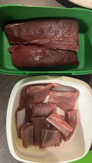50D65370-09B8-4E37-9C01-AB3B155C2AB2.jpeg