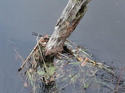 IMG-20241121-WA0000.jpg IMG-20241121-WA0000.jpg