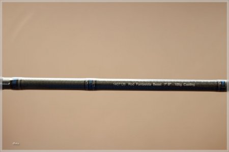 comp_C85A2216.jpg