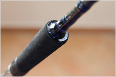 comp_C85A2217.jpg