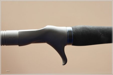 comp_C85A2219.jpg