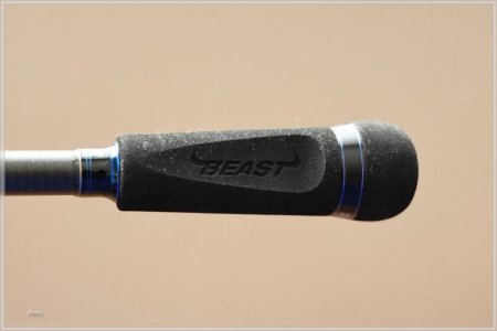 comp_C85A2220.jpg