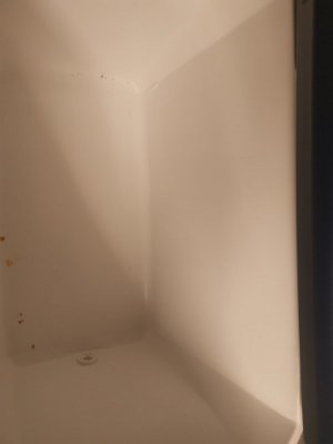 IMAGE_a05329ea-7959-4bc7-ad7d-1720933152c8.jpg IMAGE_a05329ea-7959-4bc7-ad7d-1720933152c8.jpg