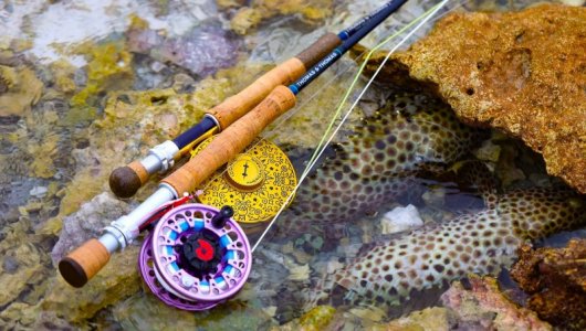 467357779_18350375935135316_8821977497803448191_n 2.JPG