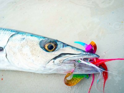 467543788_18350376691135316_3565768072559876228_n 2.JPG