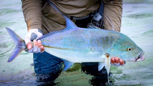 467546035_18350375866135316_2266670508621772077_n 2.JPG