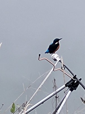 20231012_174616.jpg