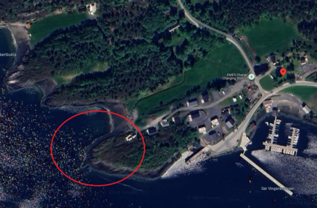 1733212611644.png 1733212611644.png