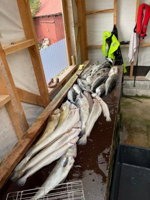 IMG-20240707-WA0012.jpg IMG-20240707-WA0012.jpg