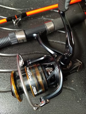 IMG_20241206_190023_778 (1).jpg