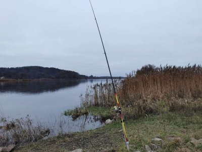 dcf8de7aca4a4647bd644d4b053d2dea.jpg dcf8de7aca4a4647bd644d4b053d2dea.jpg