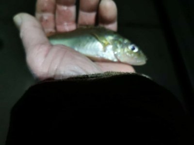 IMG-20241211-WA0002.jpg IMG-20241211-WA0002.jpg