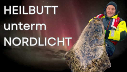 HEILBUTT unterm NORDLICHT.png