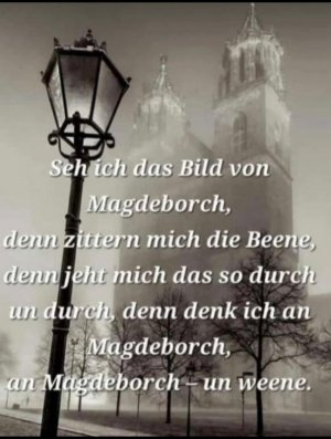 1735069535843.jpeg 1735069535843.jpeg