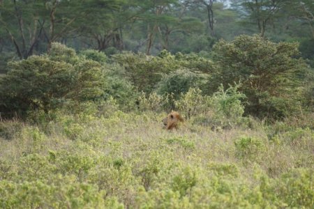 1735069821858.jpeg 1735069821858.jpeg