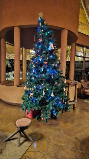 1735070556356.jpeg 1735070556356.jpeg