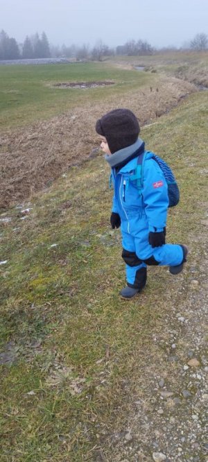 IMG-20241229-WA0018.jpg IMG-20241229-WA0018.jpg