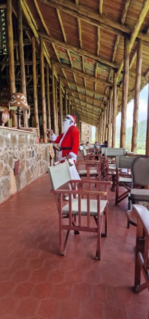 1735533131335.jpeg 1735533131335.jpeg