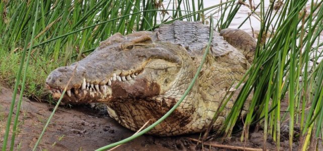 1735533361228.jpeg 1735533361228.jpeg