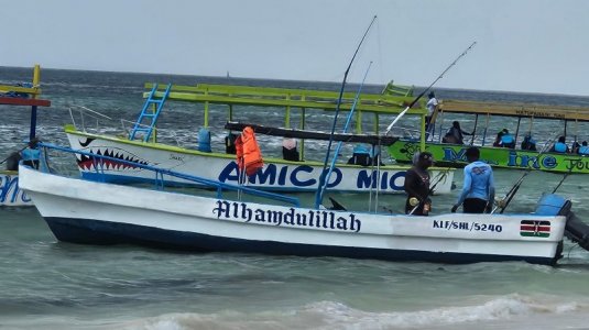 1735584362609.jpeg 1735584362609.jpeg