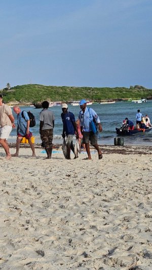 1735585079274.jpeg 1735585079274.jpeg