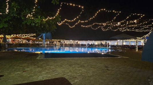 1735916511199.jpeg 1735916511199.jpeg