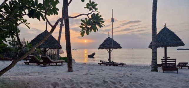 1735916852754.jpeg 1735916852754.jpeg