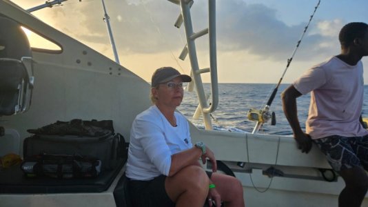 1735917031431.jpeg 1735917031431.jpeg