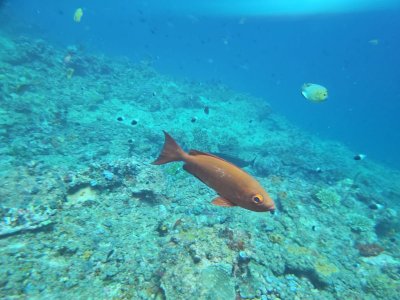 1735918045824.jpeg 1735918045824.jpeg