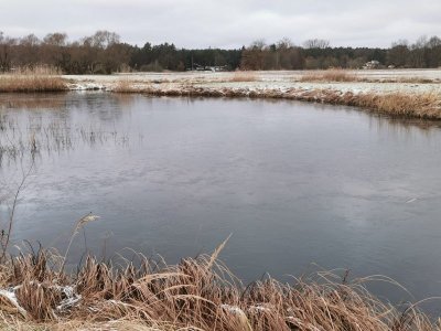 IMG-20250104-WA0002.jpg IMG-20250104-WA0002.jpg