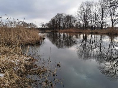 IMG-20250104-WA0008.jpg IMG-20250104-WA0008.jpg