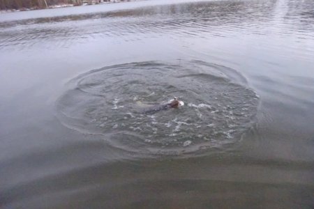 DSC03960.JPG DSC03960.JPG