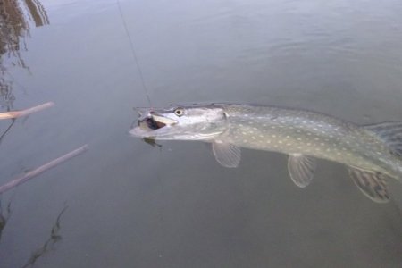 DSC03973.JPG DSC03973.JPG