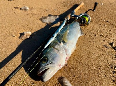 WhatsApp Image 2025-01-13 at 10.30.52.jpeg