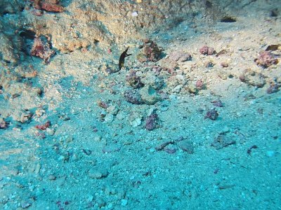 WhatsApp Image 2025-01-13 at 11.29.16.jpeg