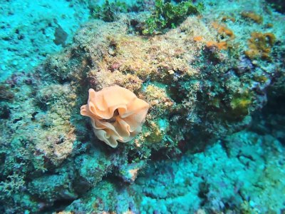 WhatsApp Image 2025-01-13 at 11.29.35.jpeg