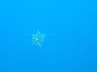 WhatsApp Image 2025-01-13 at 11.30.37.jpeg