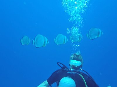 WhatsApp Image 2025-01-13 at 11.31.04.jpeg