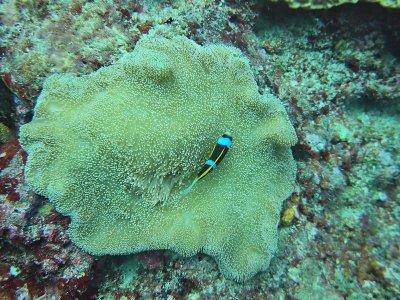 WhatsApp Image 2025-01-13 at 11.31.26.jpeg