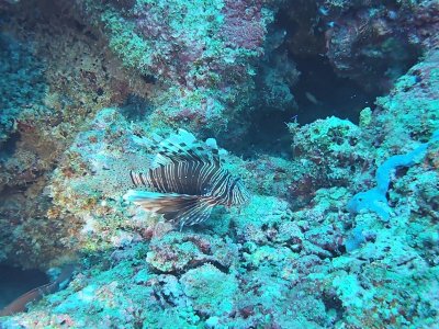 WhatsApp Image 2025-01-13 at 11.31.44.jpeg WhatsApp Image 2025-01-13 at 11.31.44.jpeg