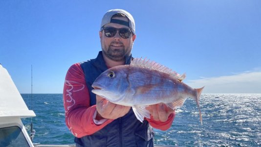 FullSizeRender.jpg FullSizeRender.jpg