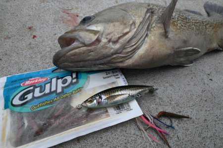 dsc_1194.JPG dsc_1194.JPG