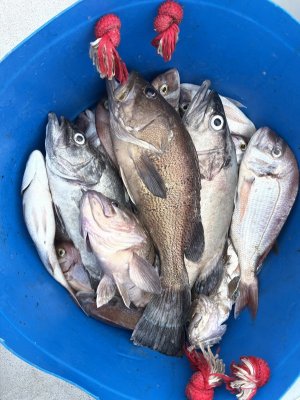 IMG_5523.jpg IMG_5523.jpg