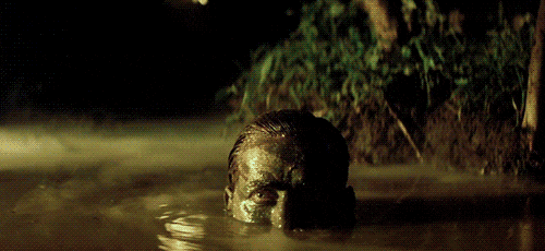 IMG_4412.gif