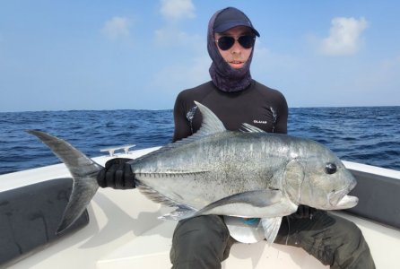 20250119_093729 hape hussain Kopie.jpeg