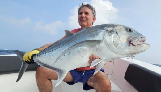 20250119_091531 hape hussain Kopie.jpeg