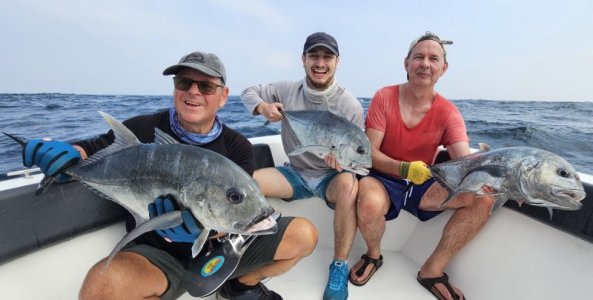 20250119_102549 hape hussain Kopie.jpeg